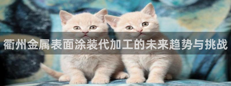 美高梅何超琼股份
