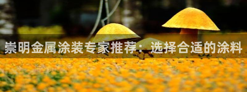 美高梅筹码颜色对应面值