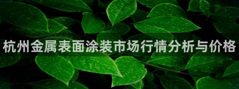 美高梅中国股票
