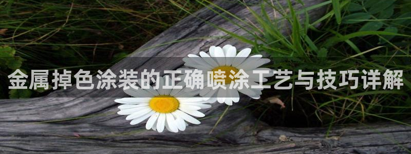 美狮美高梅酒店房间数量