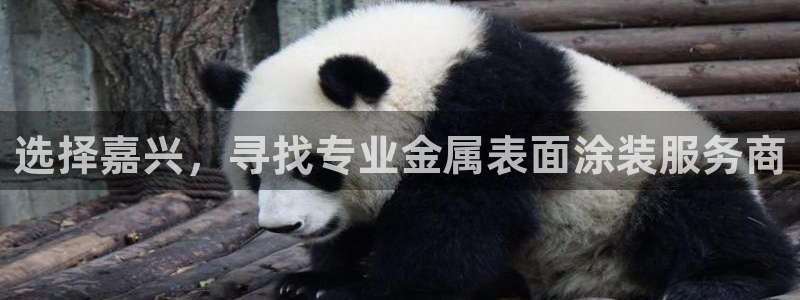 美狮美高梅酒店香氛