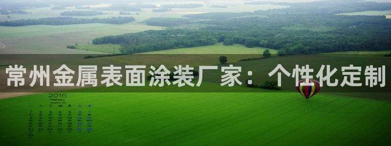 美高梅里的钱冻结了怎么办：常州金属表面涂
