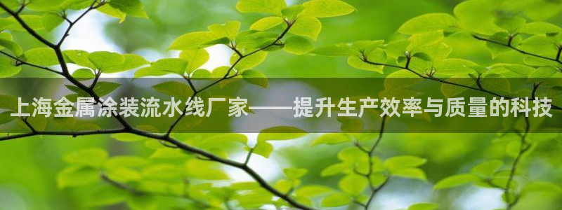 美高梅酒店拉斯维加斯