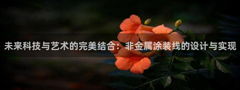 美高梅酒店会员卡