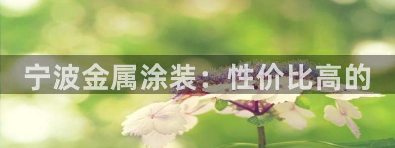 美高梅年卡自助餐