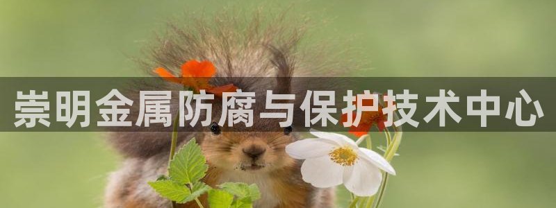 美高梅会员卡怎么积分