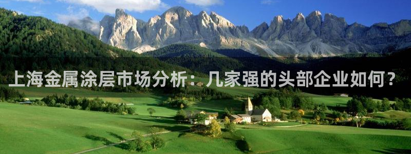 美狮美高梅酒店股东