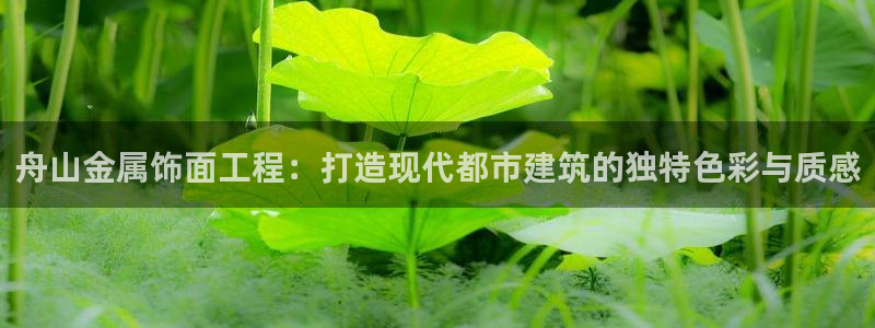 美高梅慈善晚宴