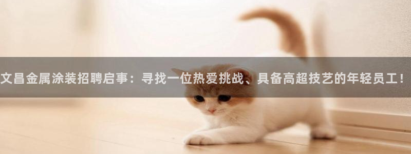 美狮美高梅酒店挂图