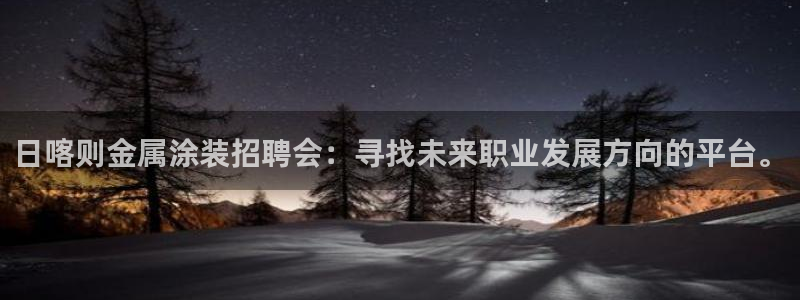 美高梅中国股票