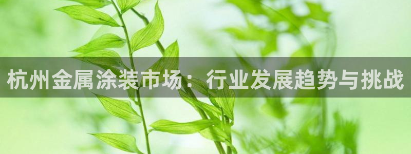 美高梅酒店品牌系列