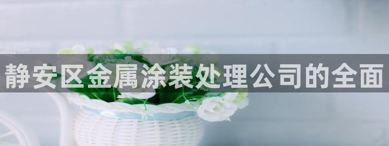 美高梅酒店和电影公司