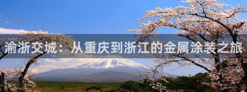 美高梅发财车路线：渝浙交城：从重庆到浙江