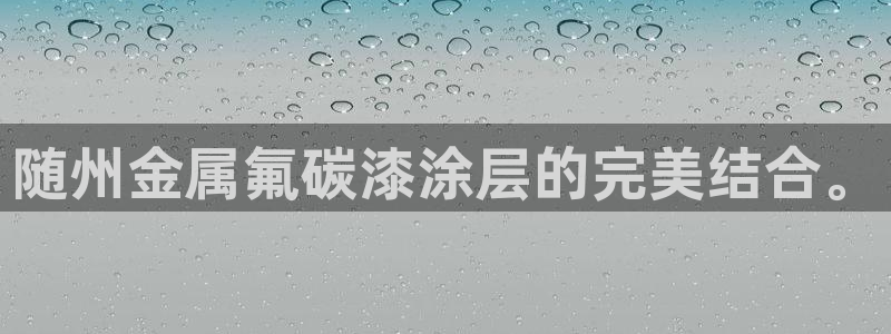 美高梅酒店澳门老板