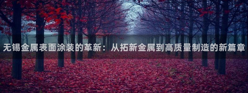 美高梅集团何超琼