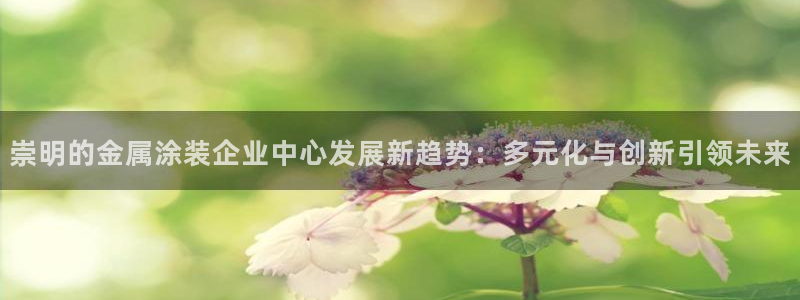 美高梅酒店集团简介