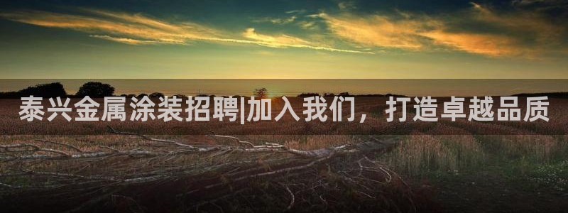 美高梅中国控股有限公司 介绍