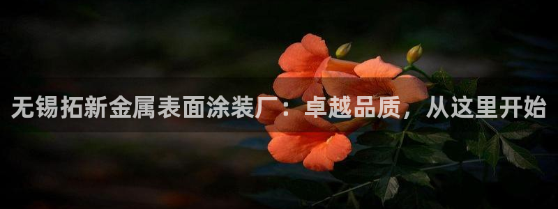 美狮美高梅酒店挂图