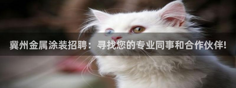 美高梅酒店是赌王哪个女儿开的