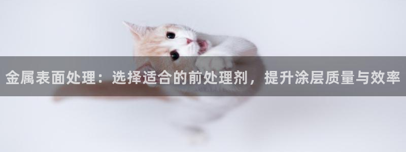 美高梅小吃