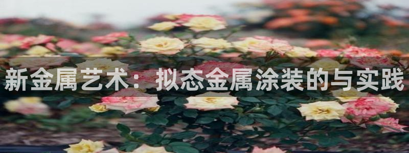 美高梅大酒店几星级