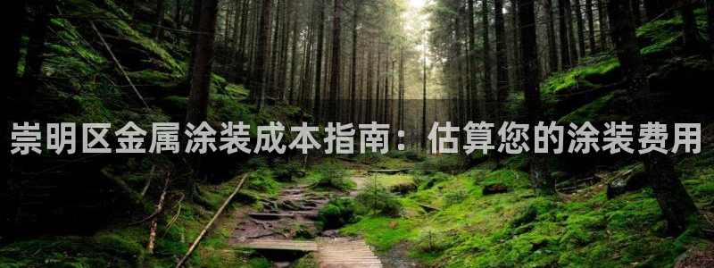 美狮美高梅酒店黑卡400餐卷