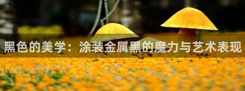 美高梅酒店杭州店地址